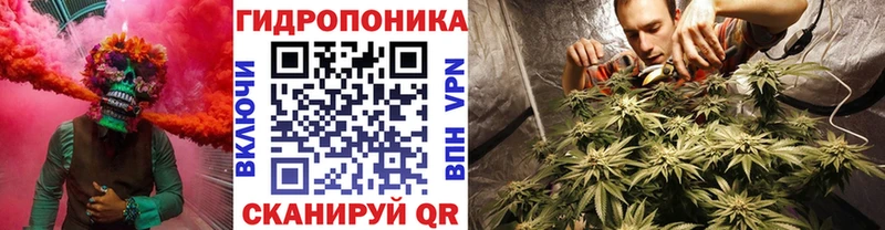 Канабис план  Струнино 
